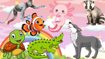 CÙNG BÉ GHÉP HÌNH VÀ ĐOÁN TÊN ĐỘNG VẬT | HỌC CÙNG RUBY TV