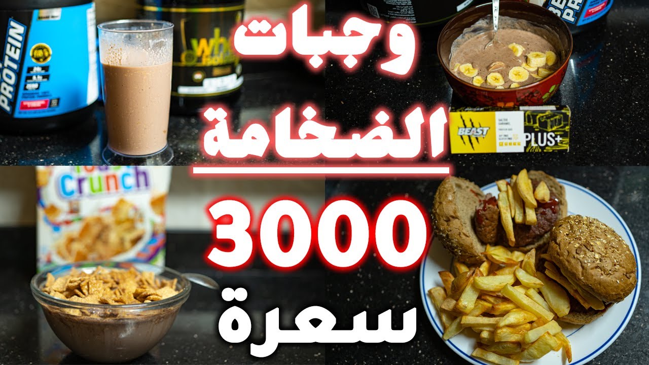 6 وجبات في فترة الضخامة | نظامي الغذائي 3000 سعرة حرارية لزيادة أكبر كتلة عضلية | كل الوجبات محسوبة