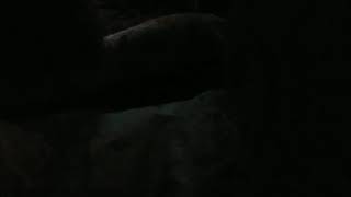 Como Hacer Plantas Henla Calle