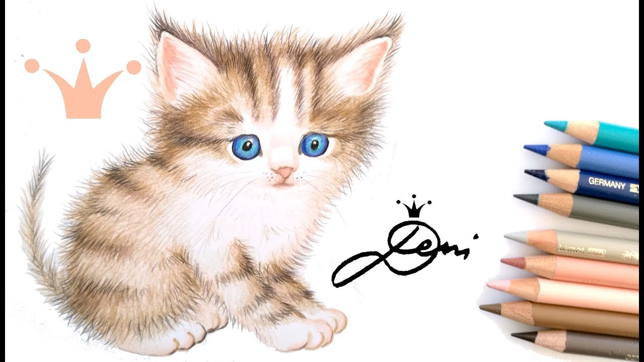 Kак се рисува коте c илюстраторката Деница Грубер 😻 на български език 🐈  How to draw a kitten - YouTube
