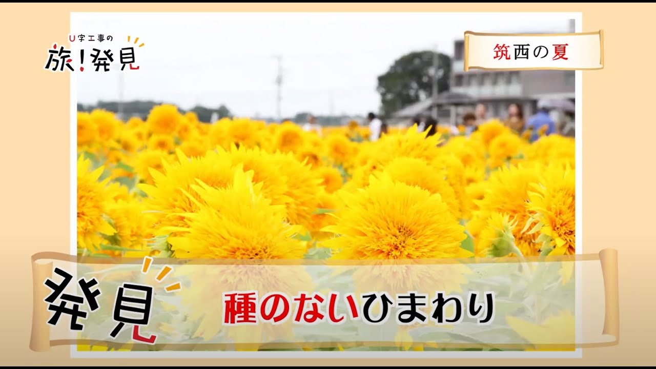 U字工事の旅！発見 #115　筑西の夏　～茨城県・筑西市～