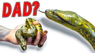 This Snake Has No Father!