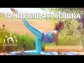 Танцующая КОШКА / Упражнения для позвоночника