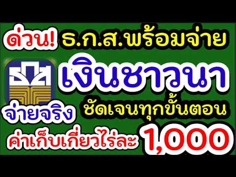 ธกส.พร้อมจ่ายเงินชาวนา#ข้าวงวด1-7เตรียมรับเงิน#เงินชาวนาเข้า ครม.30พ.ย.64#ค่าเก็บเกี่ยวไร่1000#ข้าว