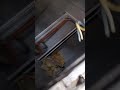 East gf previous video east