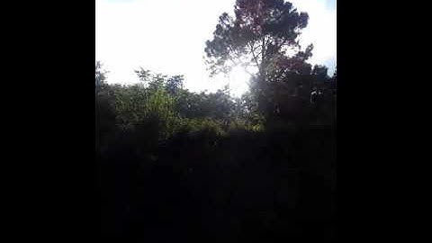 As 11 ac 2686   B  786