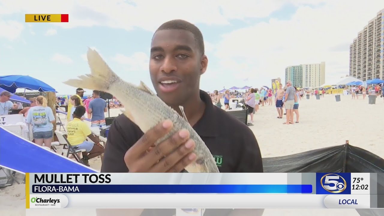 Mullet toss at the FloraBama YouTube