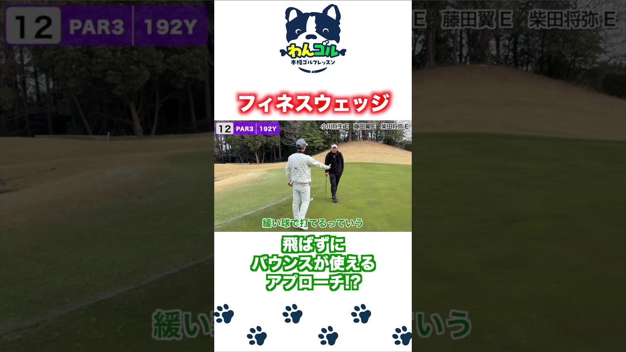 フィネスウェッジってなに？藤田翼プロに解説してもらいました！