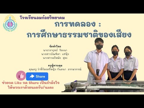 การศึกษาธรรมชาติของเสียง-ฟิสิกส์