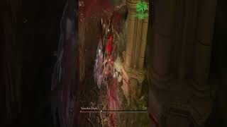 Malenia Never Fight Me Again | River Of Blood Build