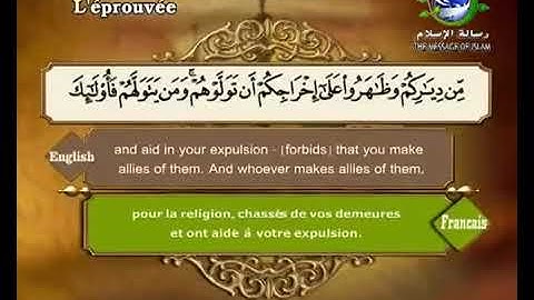 سورة الممتحنة بصوت سعد الغامدي Surat Al Mumtahina by Saad Al Ghamdy