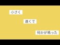 青春なんていらないわ ( 三月のパンタシア) / 몰라Molla