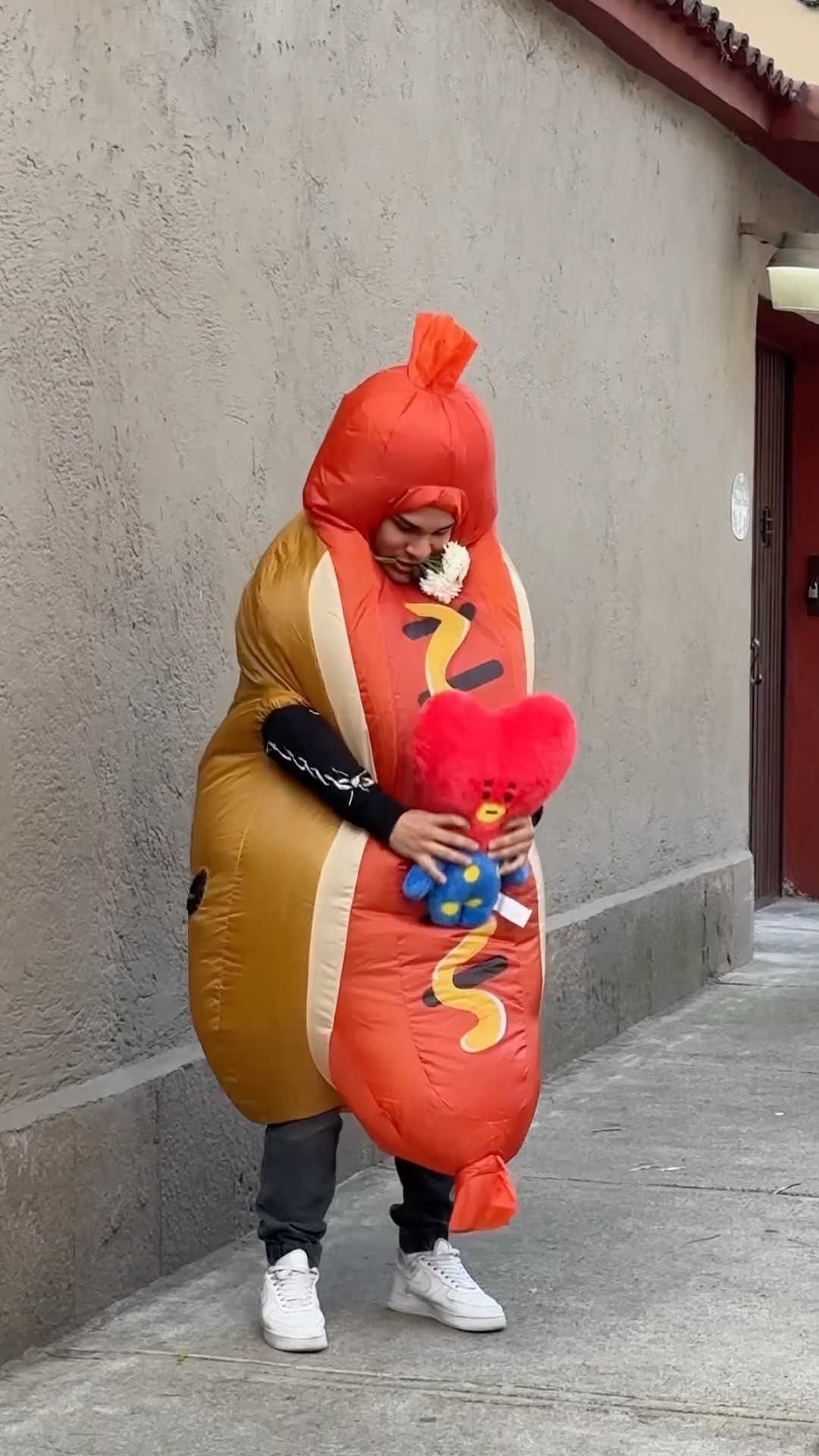 MI HERMANO ESTÁ ENAMORADO