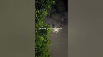 ثوان من القرآن تغيرمن قلبك #قران_كريم #تلاوة_خاشعة #قرآن #خشوع #آية #ذكر_الله #إسلاميات #راحة_نفسية