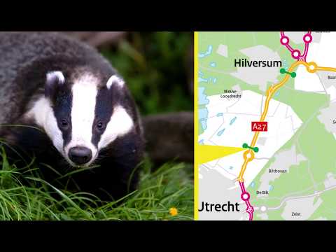 Video: Wat is natuurlijke verbreding?