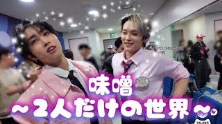 味噌2人だけの世界チャンビンを添えて