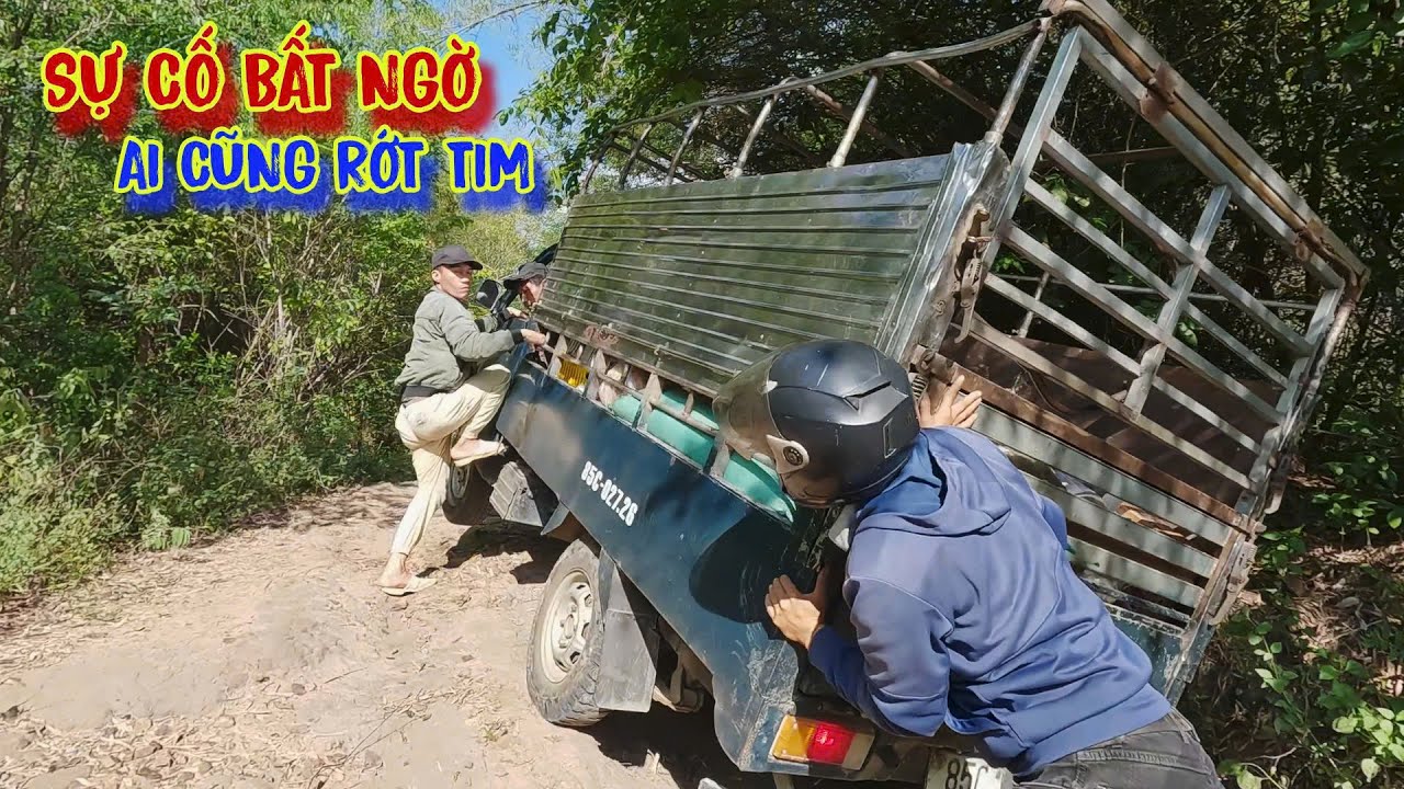 HẾT HỒN chim én, khi team GÀ LANG THANG gặp tình huống này giữa rừng - tập 1395