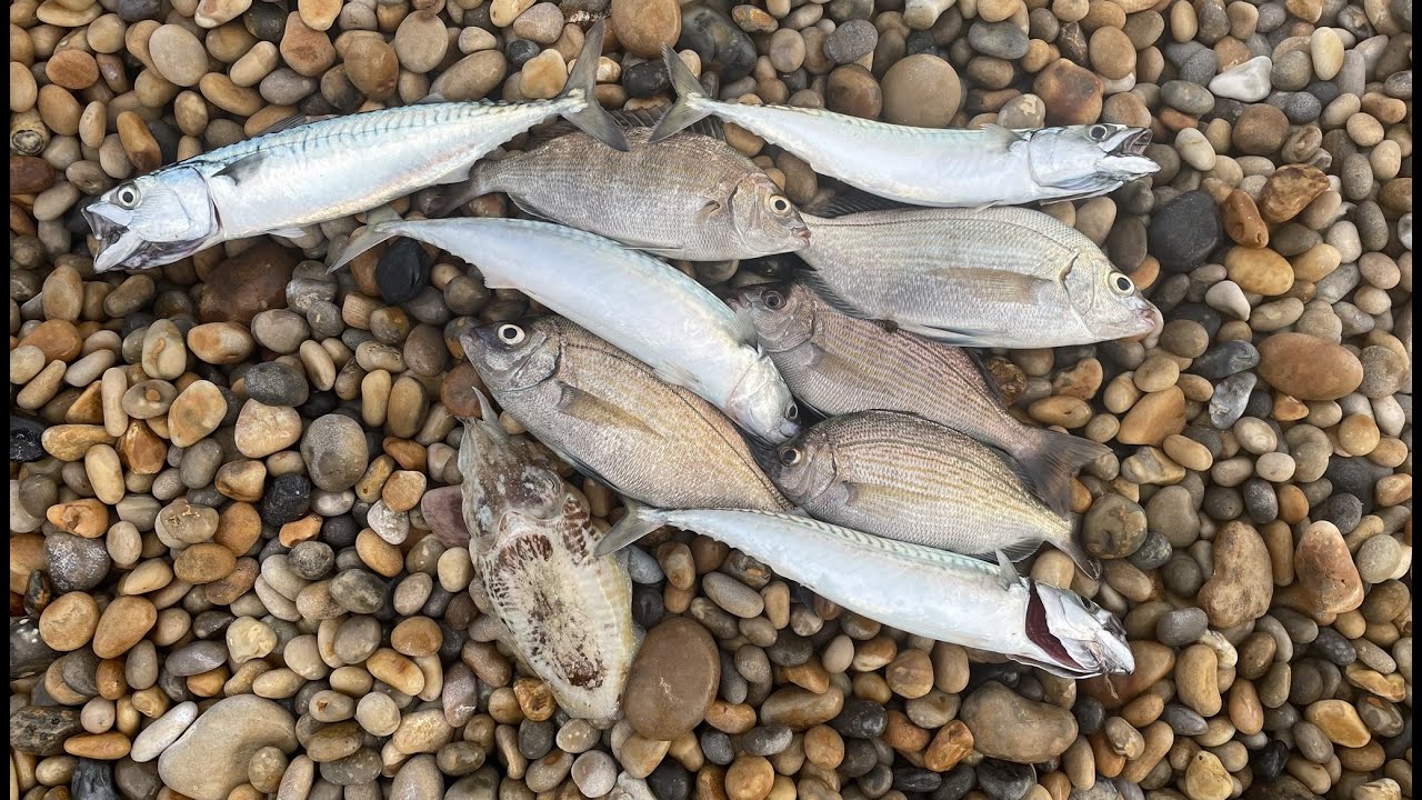 Chesil Early Morning Sport Saves The Day!!! Overnight Session Sea