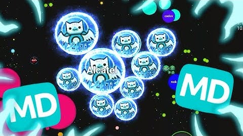 THE BLOB.IO MODERATOR & BEST REVERSER