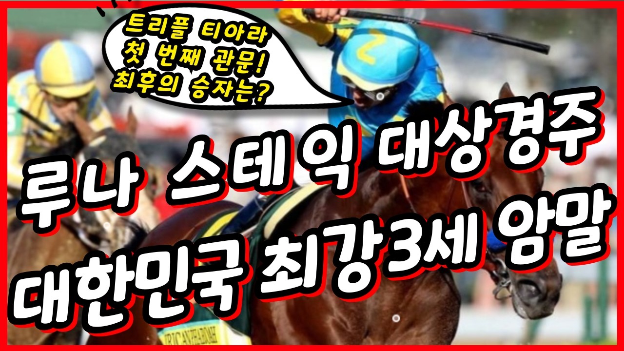 #루나스테익스 대상경주 심층 분석!