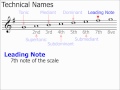 Technical Names of Scale Notes (Music Theory)