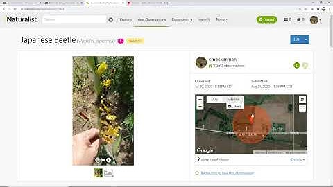 How to edit observations in iNaturalist (Web Version)
