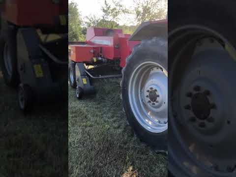 Sarngoch Farm Massey