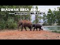 Bhagwan Birsa Biological Park | Ranchi Zoo | Ormanjhi Zoo Ranchi #ranchi #zoo #animals #vlog