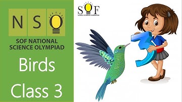 NSO Science Olympiad Class 3 | Birds
