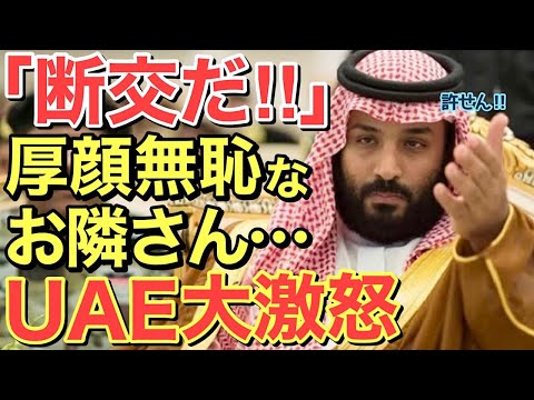 【海外の反応】「国交断絶だ」UAEが大激怒で止まらぬ制裁！世界中に何も出来ないことを証明する事に・・【にほんのチカラ】