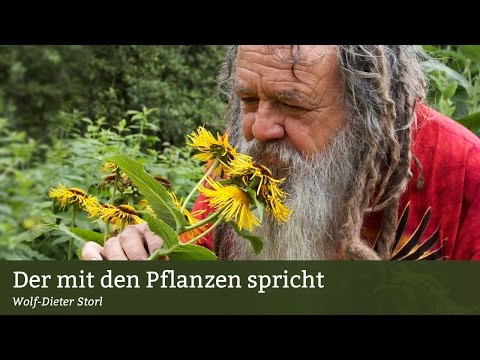 Video: Fressen Wölfe Pflanzen?