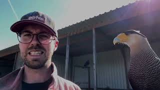 Neues Schneeeulenheim, Wassertest und mehr! 🦉 VLOG #094 🦅