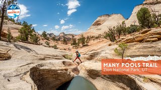 Many Pools Trail  A Hidden Gem in Zion National Park