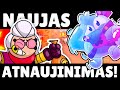 NAUJI BRAWLERIAI!! | 6 SEZONAS!! (Brawl Talk Lietuviškai)