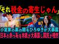 【国際的赤っ恥】小室眞子夫妻の税金寄生を全世界が報道!!秋篠宮家が顔面蒼白【皇室】【海外の反応