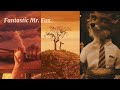 Fantastic mr fox  edits compilation