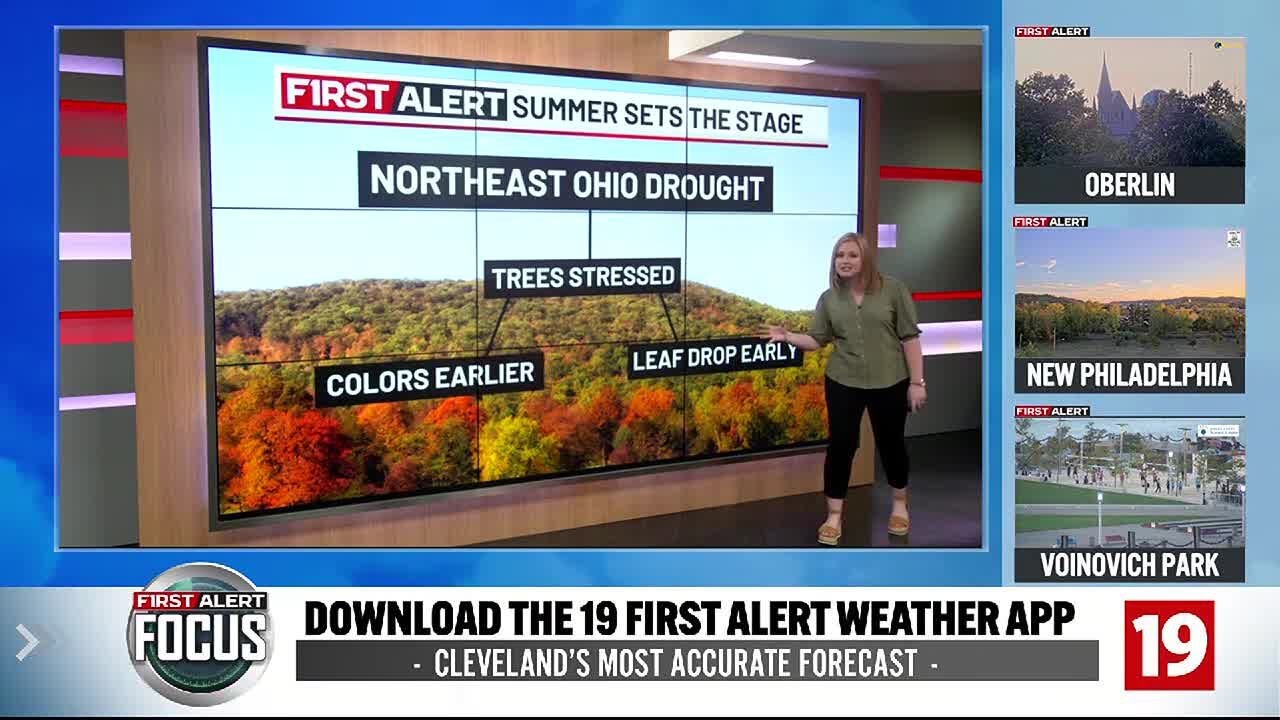 First Alert Focus : DROUGHT AND FALL LEAVES - YouTube