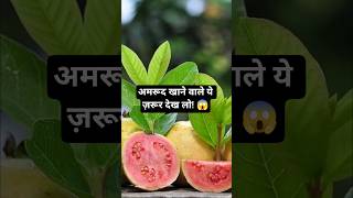 🍈 अमरूद खाने वाले ये ज़रूर देख लो! 😱 | Guava Benefits #ytshorts#healthtips