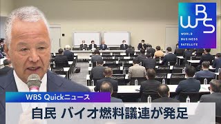 自民 バイオ燃料議連が発足【WBS】（2022年10月24日）