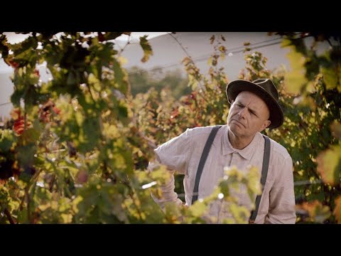 Movie reviews: 'From The Vine' formulaic, but a fun ride