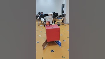 Tiago - language guided grasping based on Megapose #robot #robotics