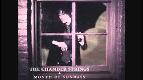 The Chamber Strings - The Fool Sings Without Any Song