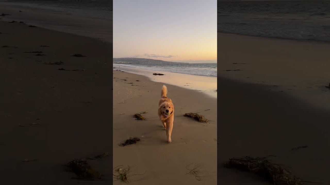 Октябрь в Калифорнии 🤍 