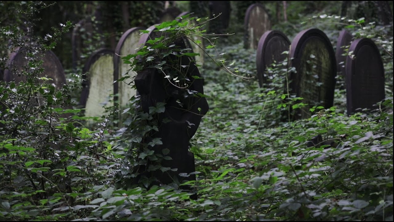 One of the Many - a Story from the Soil of Wardsend Cemetery.