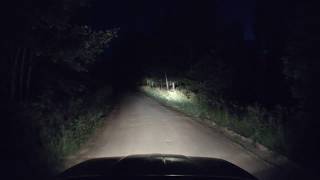 Many animals, epic music and... unknown during  latest night drive.