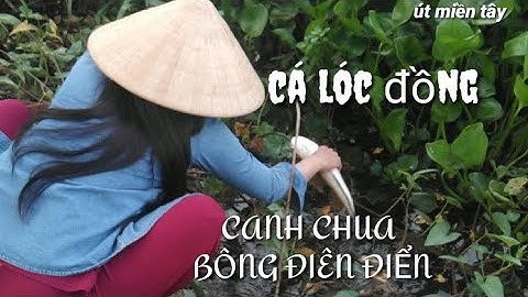 UT MIỀN TÂY@CẮM CÂU CÁ LÓC NẤU CANH CHUA BÔNG ĐIÊN ĐIỂN