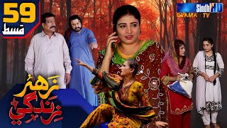 Zahar Zindagi - Ep 59 | Sindh TV Soap Serial | SindhTVHD Drama