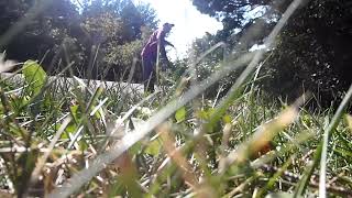 PA110017-Trim