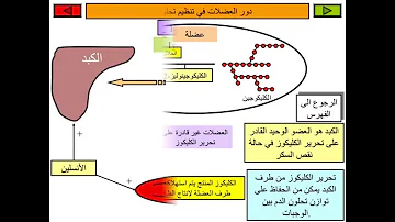 بحث حول داء السكري التحلون بحث حول داء السكري التحلون
