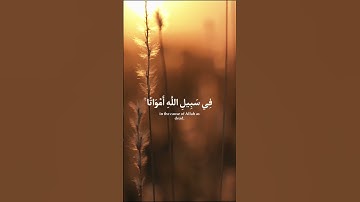 #ياسر_الدوسري #اكسبلور #yasseraldossary #راحة_نفسية #راحة_نفسية #المصحف #قران_كريم #تلاوات